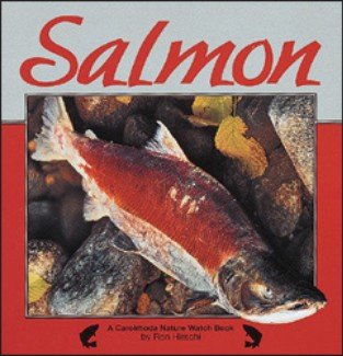 9781575055312: Salmon (Nature Watch)