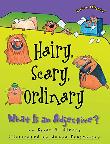 9781575055541: Hairy, Scary, Ordinary: What Is an Adjective?