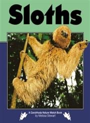 9781575055770: Sloths (Nature Watch)