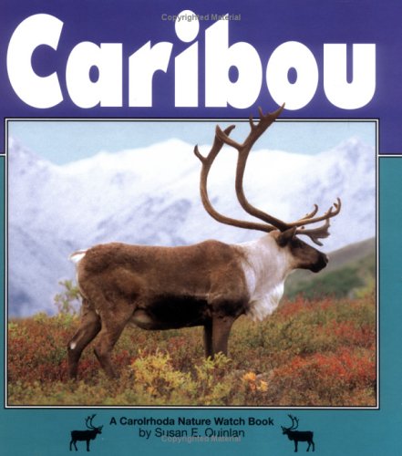 Caribou (Nature Watch) (9781575055794) by Quinlan, Susan E.