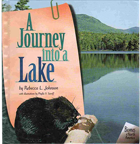 Imagen de archivo de A Journey Into a Lake a la venta por ThriftBooks-Dallas