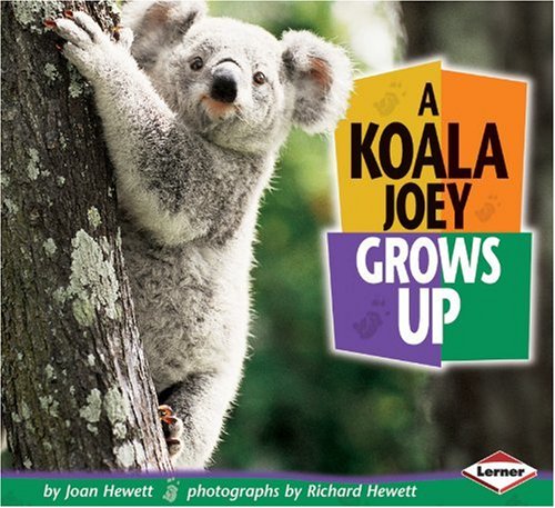 Stock image for A Koala Joey Grows Up (Baby Animals (Carolrhoda Books Paperback)) for sale by Better World Books: West