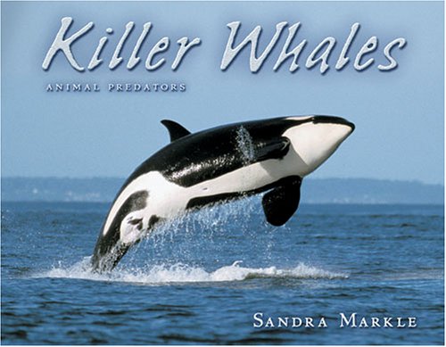 9781575057439: Killer Whales (Animal Predators)