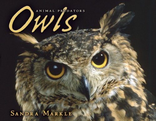 Imagen de archivo de Owls (Animal Predators a la venta por THE OLD LIBRARY SHOP