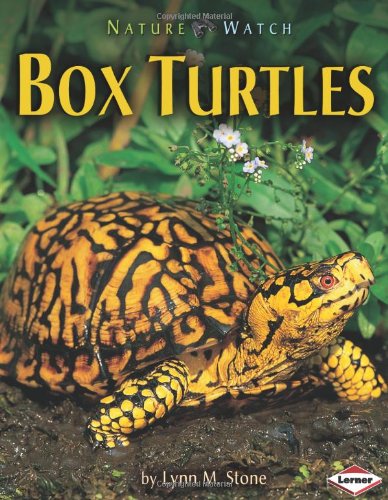 Box Turtles (Nature Watch) (9781575058696) by Stone, Lynn M.