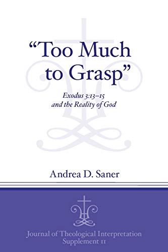 Beispielbild fr Too Much to Grasp Exodus 31315 and the Reality of God 11 Journal of Theological Interpretation Supplements zum Verkauf von PBShop.store UK