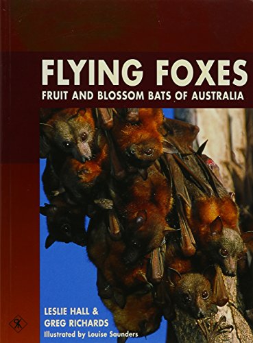 Beispielbild fr Flying Foxes : Fruit and Blossom Bats of Australia zum Verkauf von Better World Books