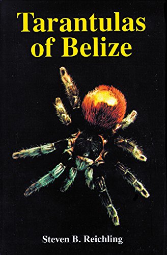 9781575242286: Tarantulas of Belize