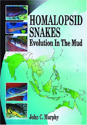 Homalopsid Snakes, Evolution in the Mud