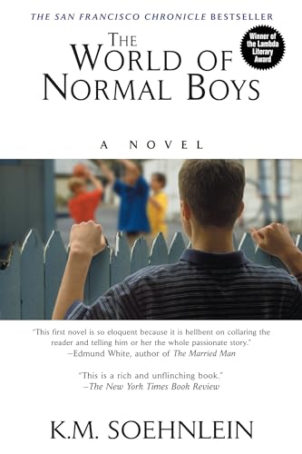 Stock image for The World Of Normal Boys for sale by Foxtrot Books