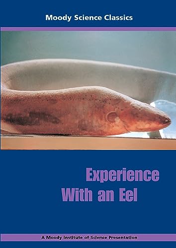 Stock image for Experience with an Eel for sale by 8trax Media