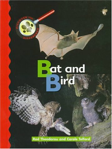 Beispielbild fr Bat and Bird zum Verkauf von Better World Books