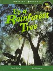 9781575721569: Up a Rainforest Tree (Amazing Journeys)