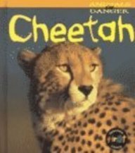 Stock image for Cheetah (Animals In Danger) for sale by Hawking Books