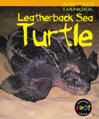 Stock image for Leatherback Sea Turtle for sale by Better World Books