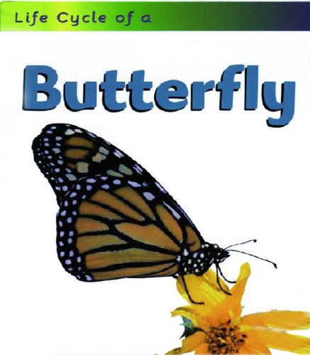 9781575724737: Butterfly (Life Cycle of A)