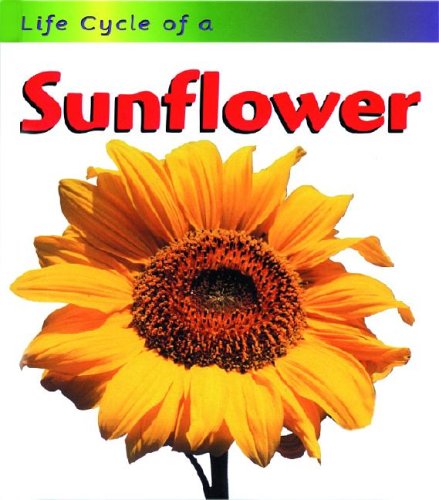 Stock image for Sunflower (Life Cycle of A) for sale by HPB-Emerald