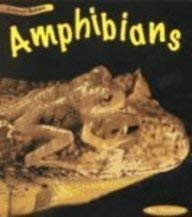 9781575725406: Amphibians (Animal Babies)