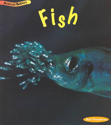 9781575725420: Fish (Animal Babies)