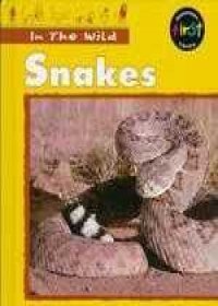Snakes (In the Wild) (9781575728643) by Robinson, Claire
