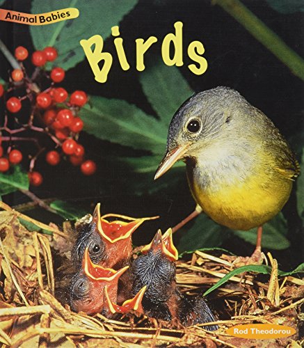 Birds (Animal Babies) (9781575728810) by Theodorou, Rod
