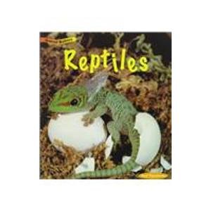 Imagen de archivo de Reptiles (Animal Babies) a la venta por HPB-Diamond