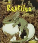 Reptiles (Animal Babies) (9781575728841) by Theodorou, Rod; Fraser, Alan