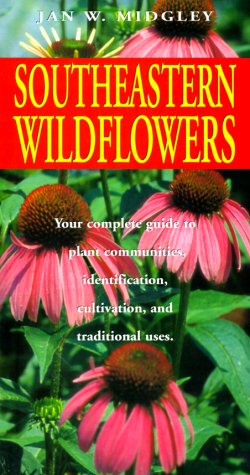 9781575871066: Southeastern Wildflowers