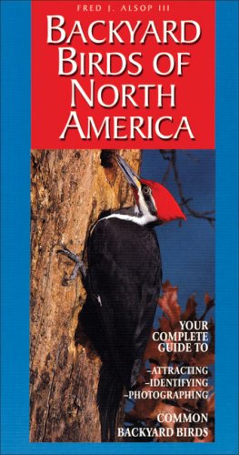 Stock image for Backyard Birds of North America for sale by Wonder Book