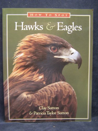 Stock image for How to Spot Hawks and Eagles for sale by Better World Books