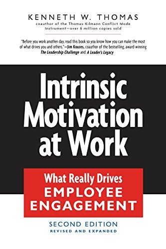 Stock image for Intrinsic Motivation at Work: Building Energy and Commitment for sale by Indiana Book Company