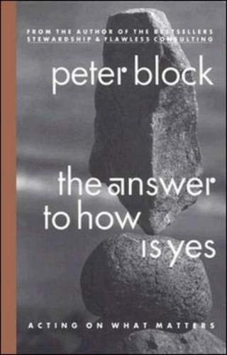 9781576751688: The Answer to How is Yes: Acting on What Matters