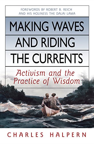 9781576754429: Making Waves and Riding the Currents: Activism and the Practice of Wisdom (AGENCY/DISTRIBUTED)