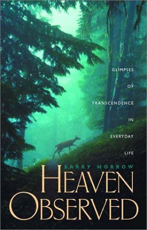 Heaven Observed: Glimpses of Transcendence in Everyday Life (9781576832325) by Morrow, Barry; Morrow, Barry L.