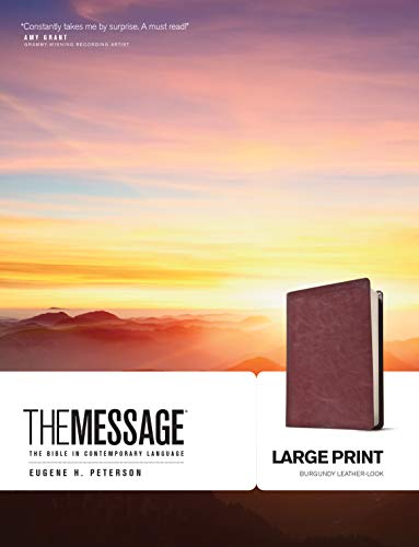 9781576838464: The Message Bible