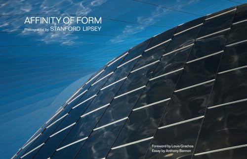 Stock image for Affinity of Form for sale by The Second Reader Bookshop