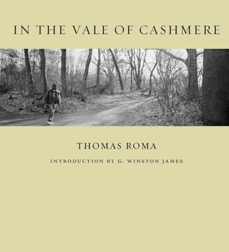 Stock image for In the Vale of Cashmere for sale by Powell's Bookstores Chicago, ABAA