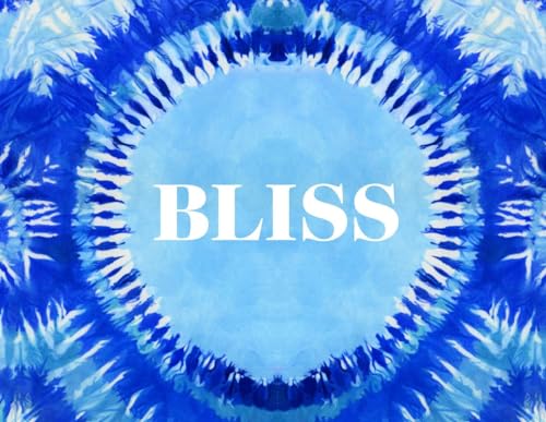 Stock image for Bliss: Transformational Festivals & the Neo Hippie for sale by The Book Bin
