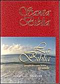 9781576976135: Spanish Pocket Bible-RV 1960-Zipper (Spanish Edition)