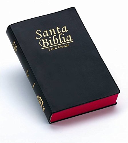 9781576979075: RVR 1960 Bible Vinyl Cover Conc Maps Black (Spanish Edition)