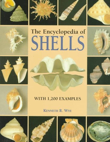 Stock image for The Encyclopedia of Shells for sale by Hafa Adai Books