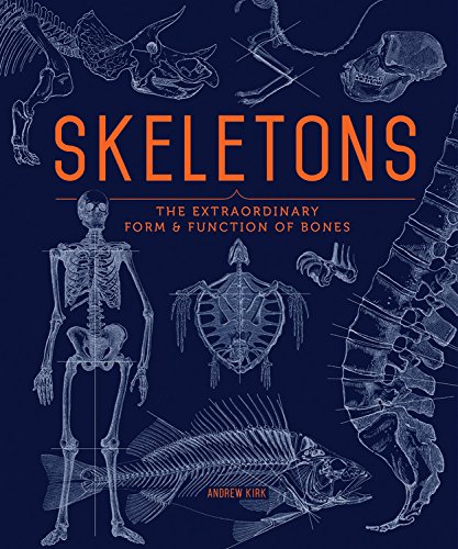 Beispielbild fr Skeletons: The Extraordinary Form & Function of Bones zum Verkauf von Powell's Bookstores Chicago, ABAA