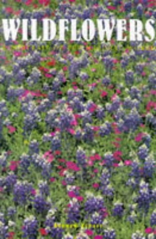 Stock image for Wildflowers: A Portrait of the Natural World for sale by SecondSale