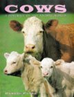 Stock image for Cows: A Portrait of the Animal World for sale by HPB-Emerald
