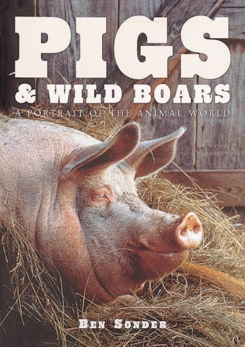 Beispielbild fr Pigs and Wild Boar zum Verkauf von Better World Books