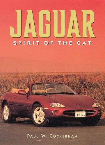 Jaguar Spirit of The Cat