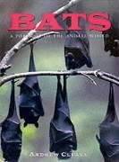 Beispielbild fr Bats (A Portrait of the Animal World) zum Verkauf von Wonder Book