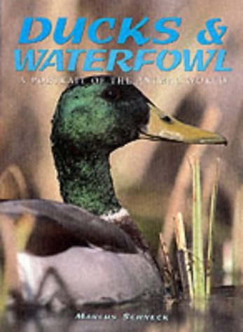 Beispielbild fr Ducks and Waterfowl (A Portrait of the Animal World) zum Verkauf von Wonder Book