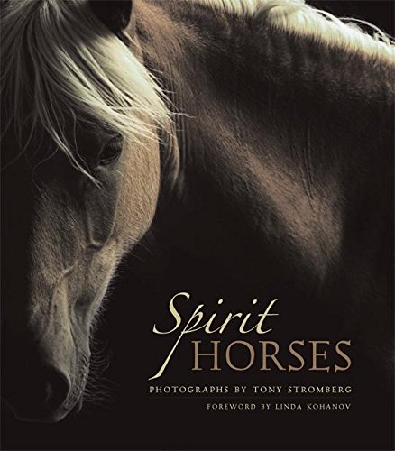 9781577314998: Spirit Horses