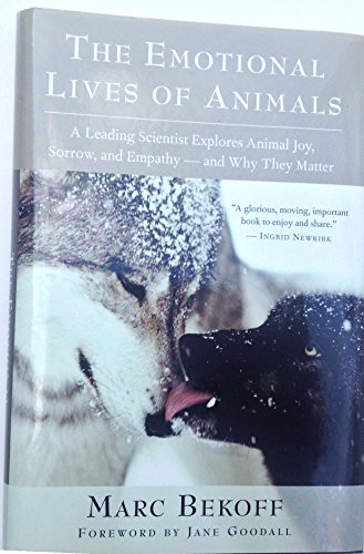 Stock image for The Emotional Lives of Animals: A Leading Scientist Explores Animal Joy, Sorrow, and Empathy and Why They Matter for sale by Reliant Bookstore